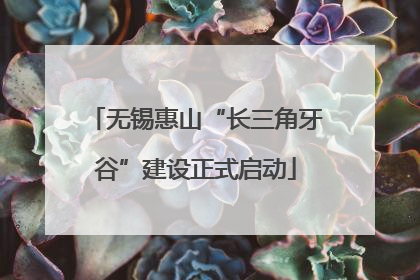 无锡惠山“长三角牙谷”建设正式启动