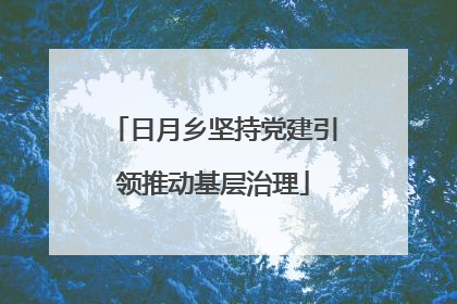 日月乡坚持党建引领推动基层治理