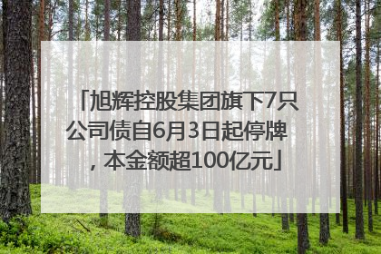 旭辉控股集团旗下7只公司债自6月3日起停牌，本金额超100亿元