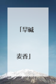 旱碱麦香