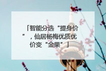 智能分选“提身价”，仙居杨梅优质优价变“金果”