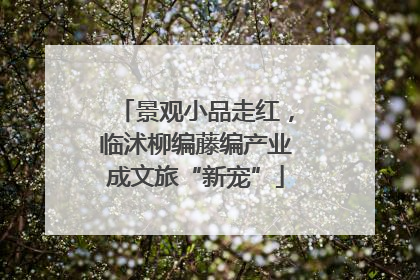 景观小品走红，临沭柳编藤编产业成文旅“新宠”