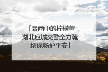 暴雨中的柠檬黄，湖北应城交警全力疏堵保畅护平安