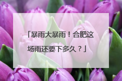 暴雨大暴雨！合肥这场雨还要下多久？