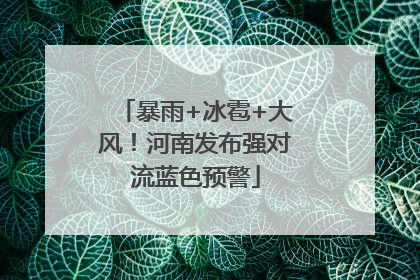 暴雨+冰雹+大风！河南发布强对流蓝色预警