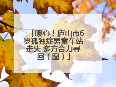 暖心！庐山市6岁孤独症男童车站走失 多方合力寻回（图）