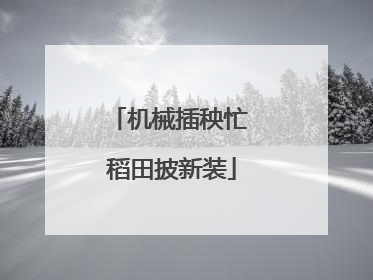 机械插秧忙 稻田披新装