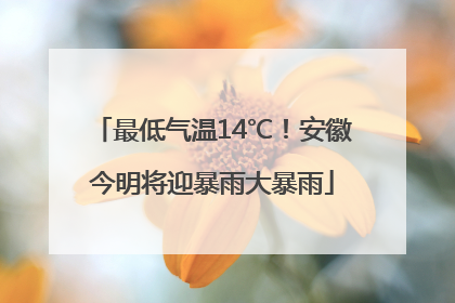 最低气温14℃！安徽今明将迎暴雨大暴雨