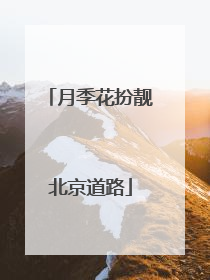 月季花扮靓北京道路