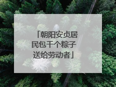 朝阳安贞居民包千个粽子送给劳动者