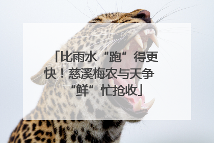 比雨水“跑”得更快！慈溪梅农与天争“鲜”忙抢收