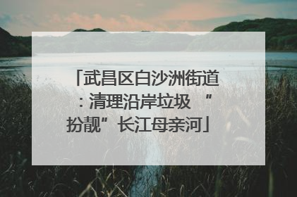 武昌区白沙洲街道：清理沿岸垃圾 “扮靓”长江母亲河