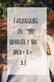 武昌法院：含“赞”量极高！锦旗1+1+1