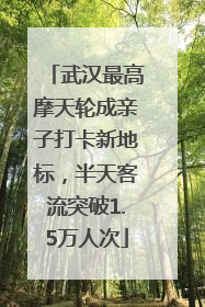 武汉最高摩天轮成亲子打卡新地标，半天客流突破1.5万人次