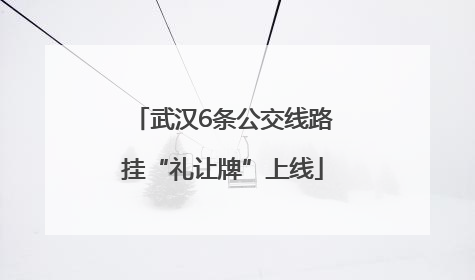 武汉6条公交线路挂“礼让牌”上线