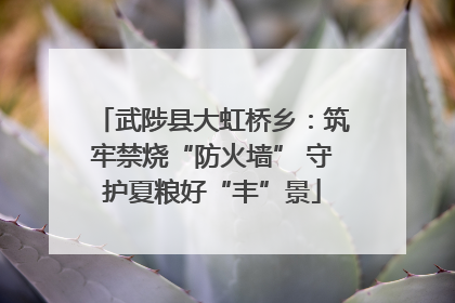 武陟县大虹桥乡：筑牢禁烧“防火墙” 守护夏粮好“丰”景