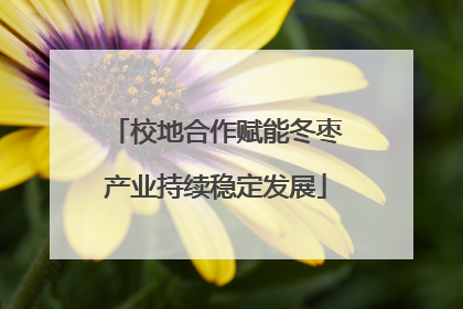 校地合作赋能冬枣产业持续稳定发展