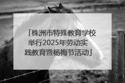 株洲市特殊教育学校举行2025年劳动实践教育暨杨梅节活动