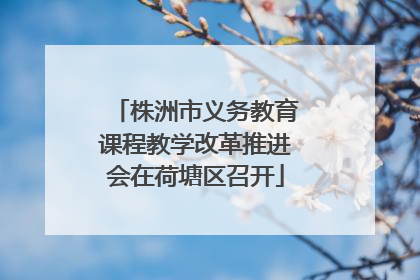 株洲市义务教育课程教学改革推进会在荷塘区召开