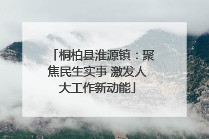 桐柏县淮源镇：聚焦民生实事 激发人大工作新动能