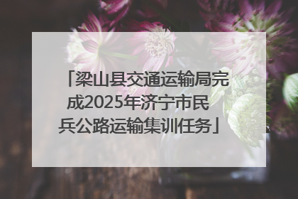 梁山县交通运输局完成2025年济宁市民兵公路运输集训任务