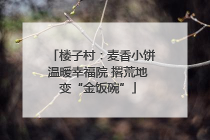 楼子村：麦香小饼温暖幸福院 撂荒地变“金饭碗”