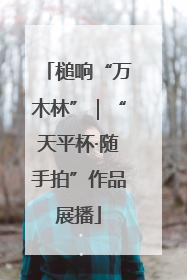 槌响“万木林”｜“天平杯·随手拍”作品展播