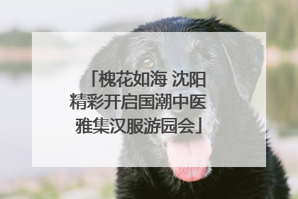 槐花如海 沈阳精彩开启国潮中医雅集汉服游园会