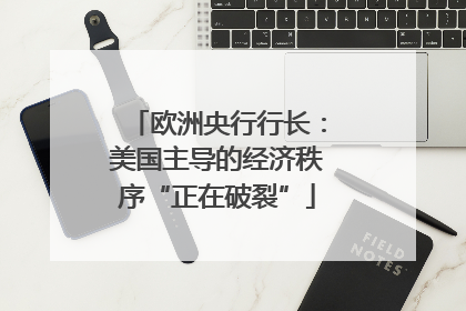 欧洲央行行长：美国主导的经济秩序“正在破裂”