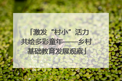 激发“村小”活力 共绘多彩童年——乡村基础教育发展观察