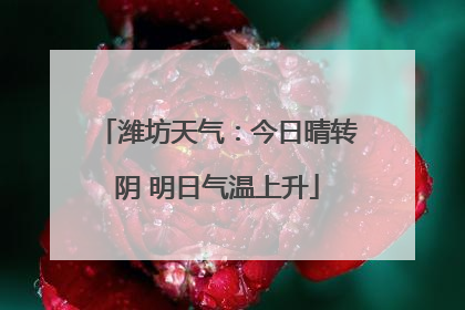 潍坊天气：今日晴转阴 明日气温上升