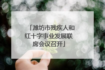 潍坊市残疾人和红十字事业发展联席会议召开