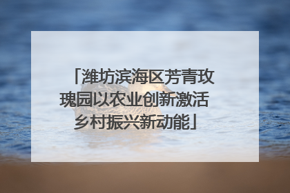 潍坊滨海区芳青玫瑰园以农业创新激活乡村振兴新动能
