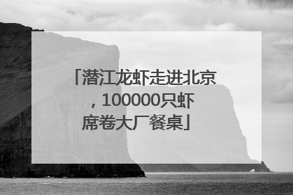 潜江龙虾走进北京，100000只虾席卷大厂餐桌