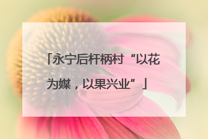 永宁后杆柄村“以花为媒，以果兴业”