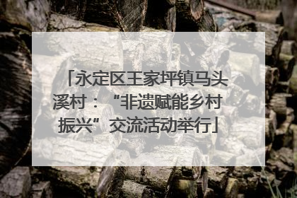 永定区王家坪镇马头溪村：“非遗赋能乡村振兴”交流活动举行