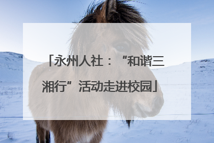 永州人社：“和谐三湘行”活动走进校园