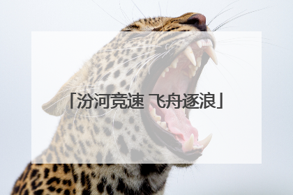汾河竞速 飞舟逐浪