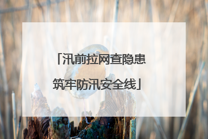 汛前拉网查隐患 筑牢防汛安全线