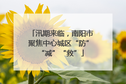 汛期来临，南阳市聚焦中心城区“防”“减”“救”