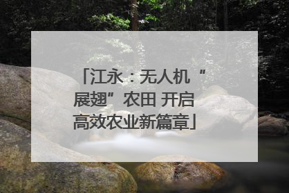 江永：无人机“展翅”农田 开启高效农业新篇章