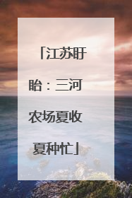 江苏盱眙：三河农场夏收夏种忙