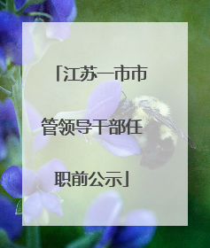 江苏一市市管领导干部任职前公示