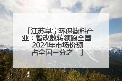 江苏阜宁环保滤料产业：智改数转领跑全国 2024年市场份额占全国三分之一