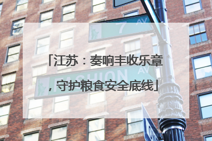 江苏：奏响丰收乐章，守护粮食安全底线