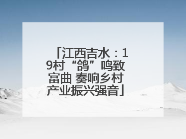 江西吉水：19村“鸽”鸣致富曲 奏响乡村产业振兴强音