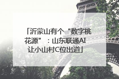 沂蒙山有个“数字桃花源”：山东联通AI让小山村C位出道