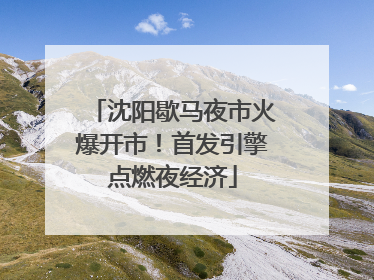 沈阳歇马夜市火爆开市！首发引擎点燃夜经济