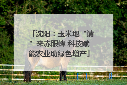 沈阳：玉米地“请”来赤眼蜂 科技赋能农业助绿色增产