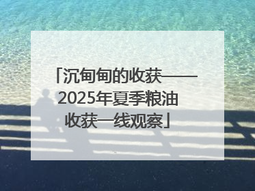 沉甸甸的收获——2025年夏季粮油收获一线观察